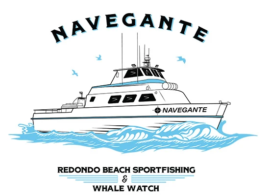 Navegante